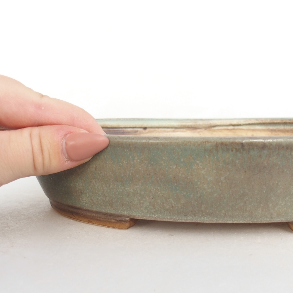 Ciotola bonsai in ceramica 22,5 x 20 x 4,5 cm, verde