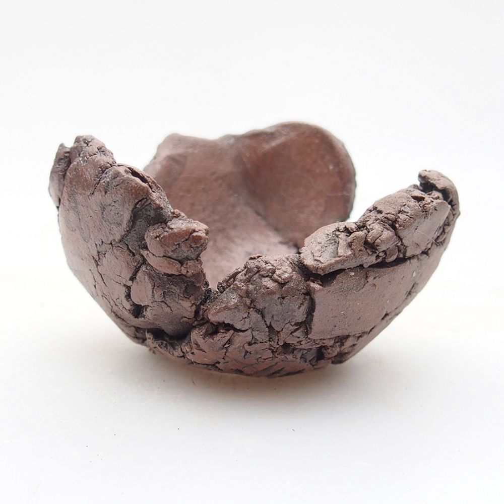 Conchiglia in ceramica 6 x 6 x 4 cm , colore marrone