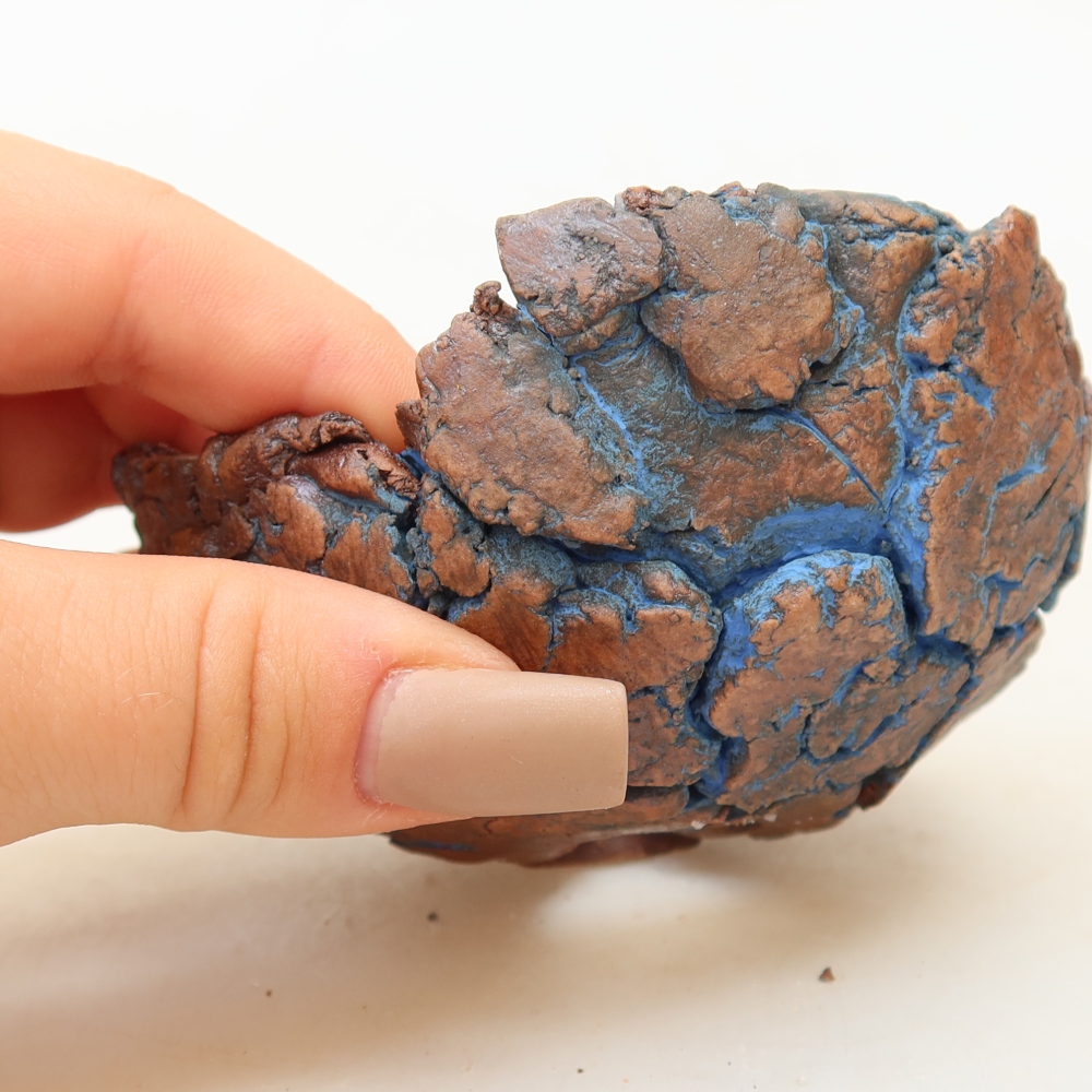 Guscio in ceramica 9 x 9 x 4 cm, colore blu