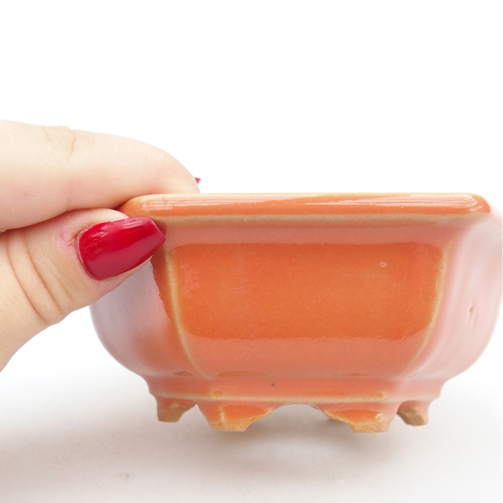 Ciotola bonsai in ceramica 26 x 26 x 8 cm, colore rosso