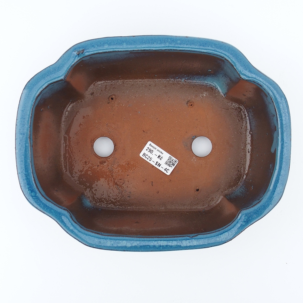 Ciotola 26 x 20 x 8,5 cm blu