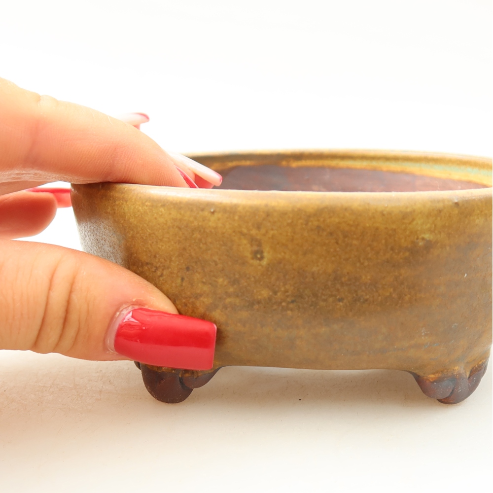 Ciotola per bonsai in ceramica 10,5 x 10,5 x 4 cm, marrone