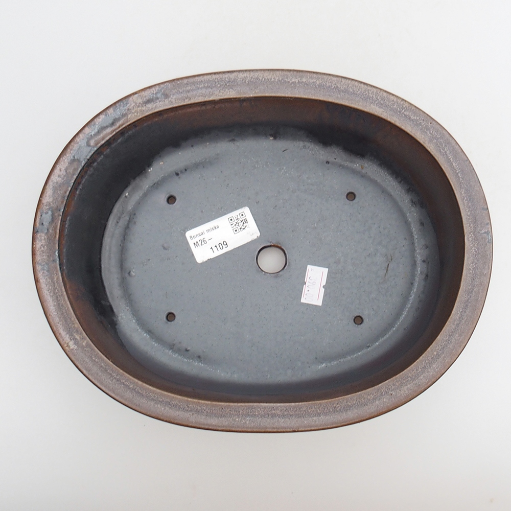 Ciotola bonsai in ceramica 23 x 19 x 7 cm, marrone