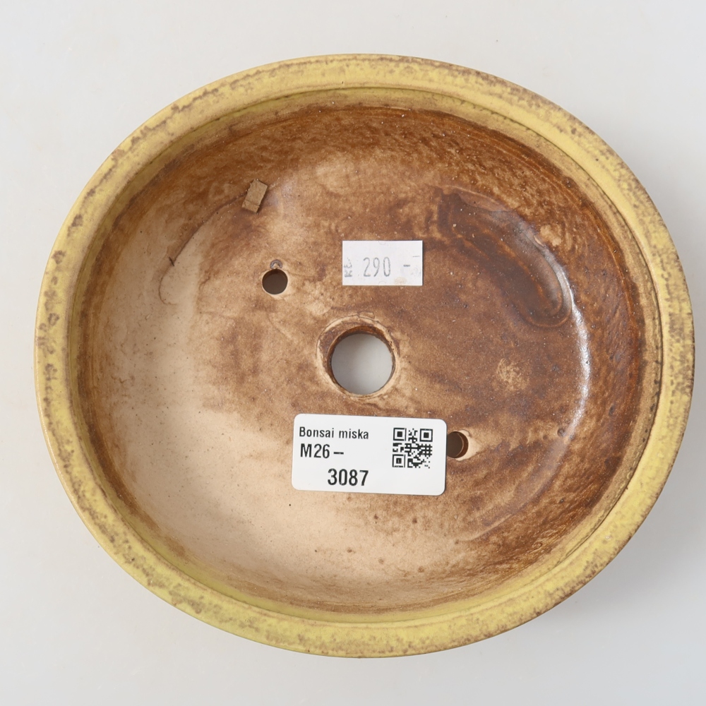 Vaso da bonsai in ceramica 15,5 x 14,5 x 4 cm, colore giallo