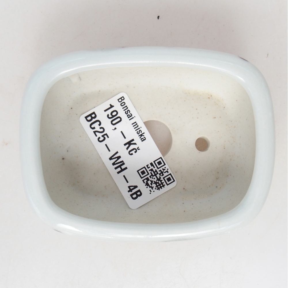 Mini bonsai 8 x 6 x 3 cm, bianco