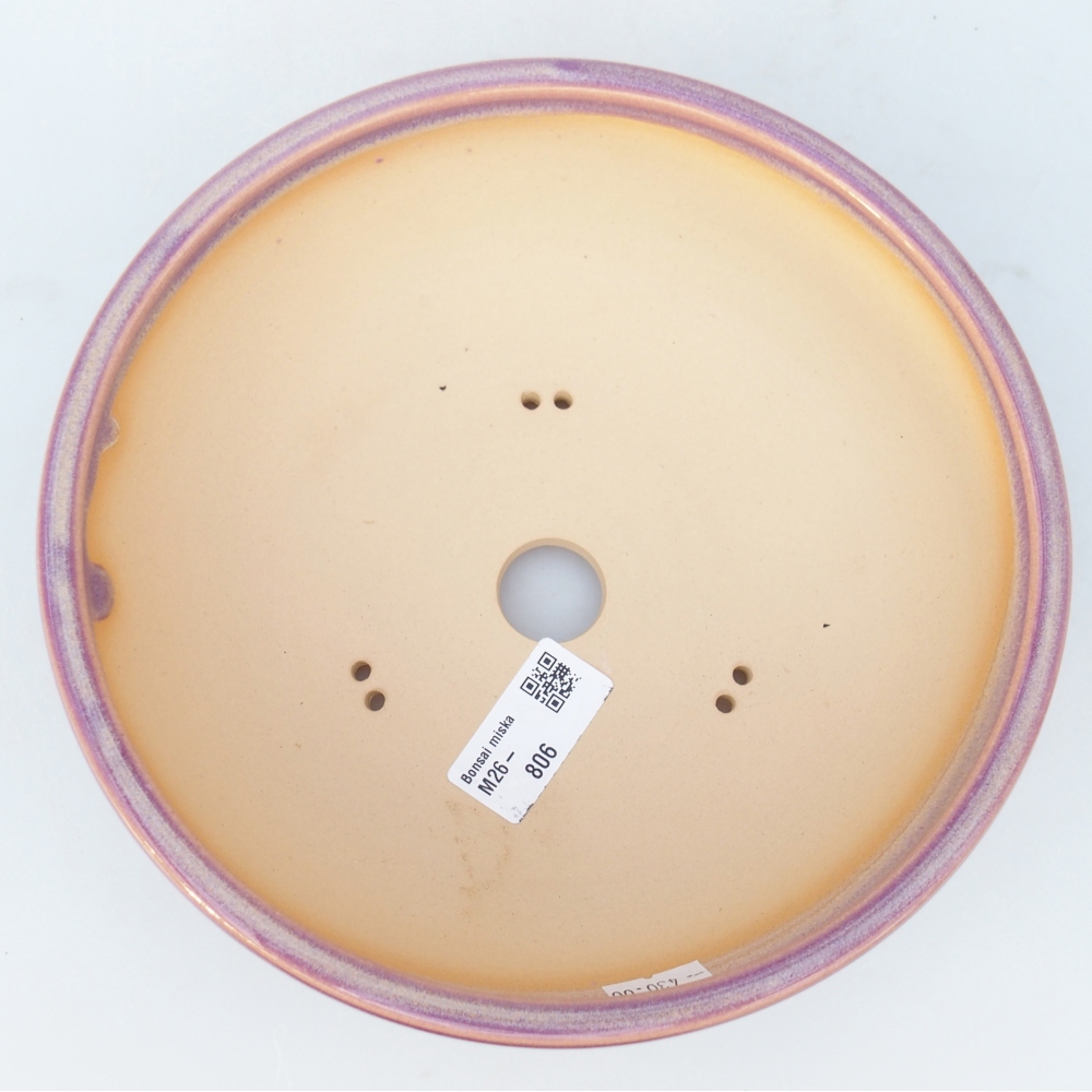 Ciotola per bonsai in ceramica 20,5 x 20,5 x 6,5 cm, colore viola