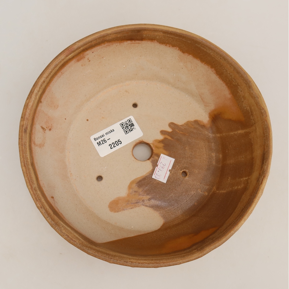 Vaso da bonsai in ceramica 17,5 x 17,5 x 5,5 cm, colore beige