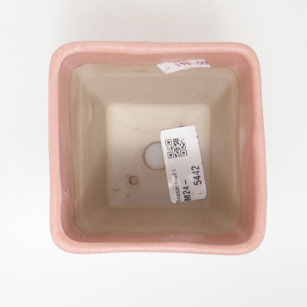 Ciotola bonsai in ceramica 8,5 x 8,5 x 11 cm, rosa
