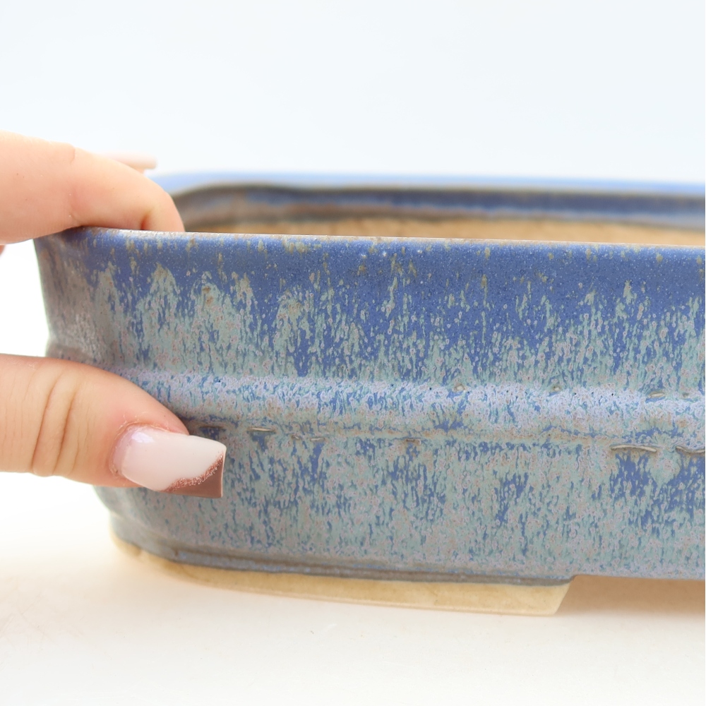 Vaso in ceramica per bonsai 29 x 23 x 7 cm, colore blu