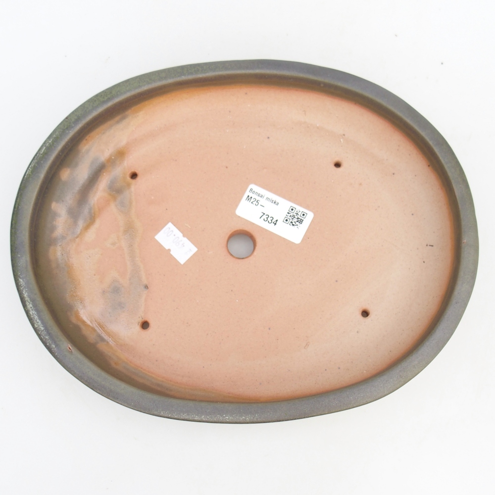 Ciotola bonsai in ceramica 24 x 20 x 4 cm, verde