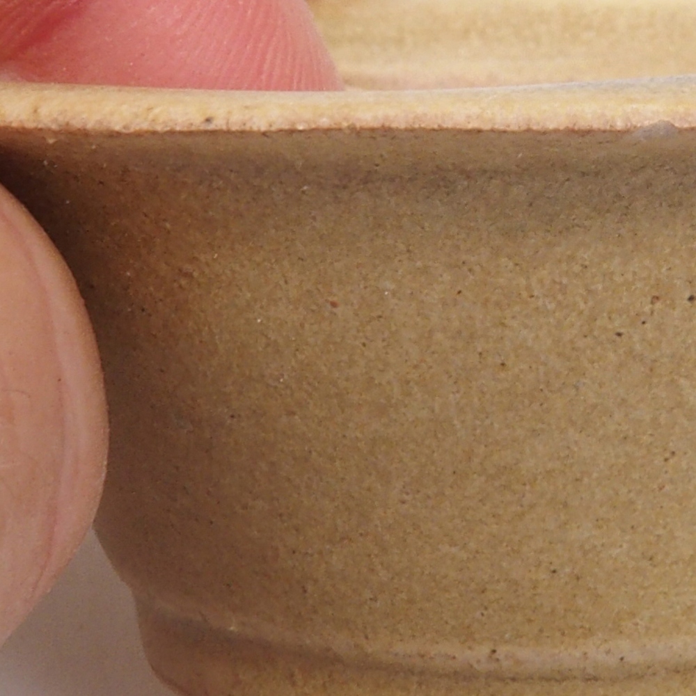 Mini bonsai 7 x 7 x 2,5 cm, marrone