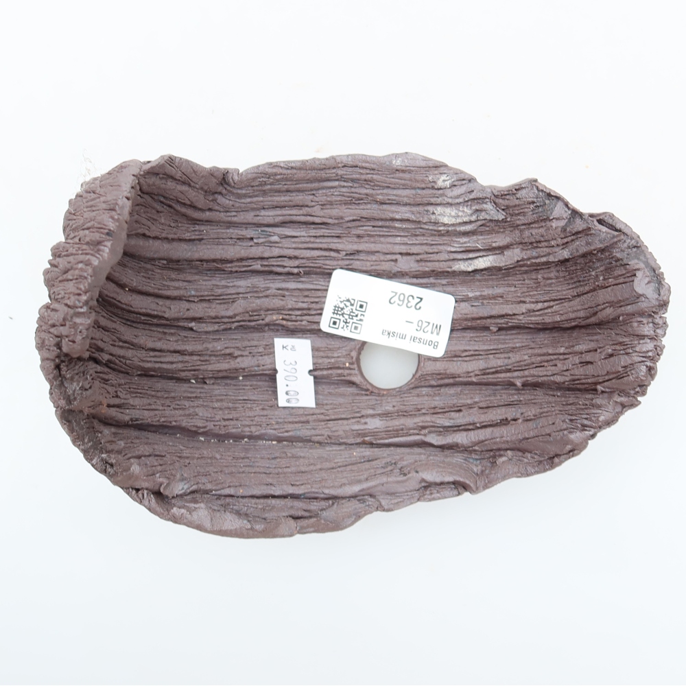 Conchiglia in ceramica  15 x 11 x 14 cm, colore marrone