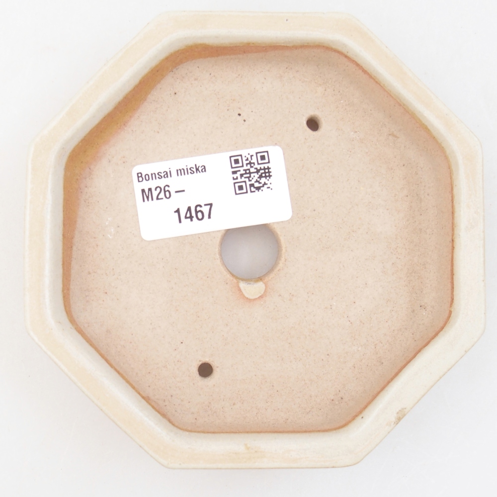 Ciotola per bonsai in ceramica 11,5 x 11,5 x 2 cm, colore beige