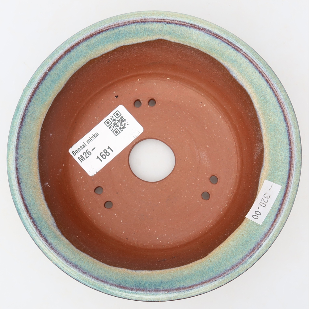Vaso da bonsai in ceramica 14,5 x 14,5 x 4,5 cm, colore verde