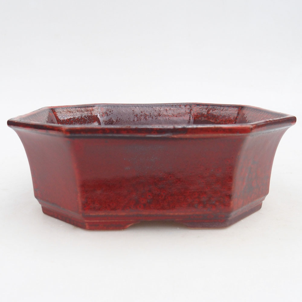 Ciotola per bonsai in ceramica 17,5 x 17,5 x 6 cm, colore rosso
