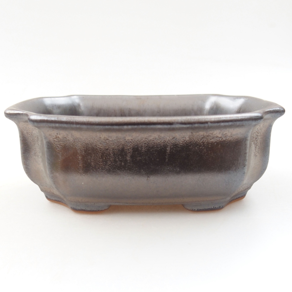 Ciotola bonsai in ceramica 22 x 17 x 5 cm, verde