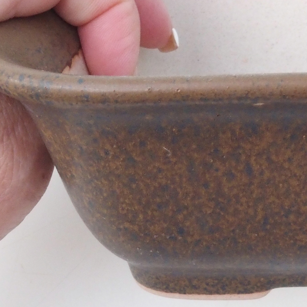 Ciotola per bonsai H38 - 12 x 10 x 5,5 cm - marrone