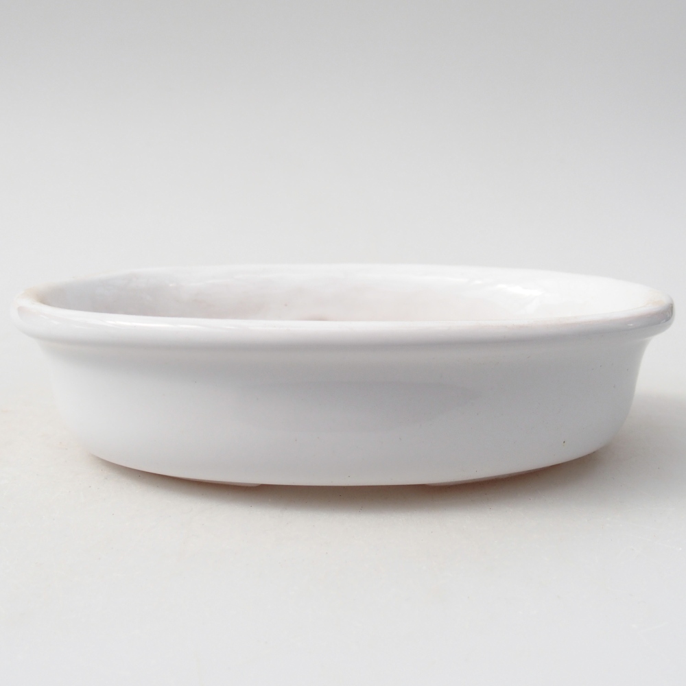 Ciotola per bonsai in ceramica 14,5 x 10,5 x 3,5 cm, colore bianco