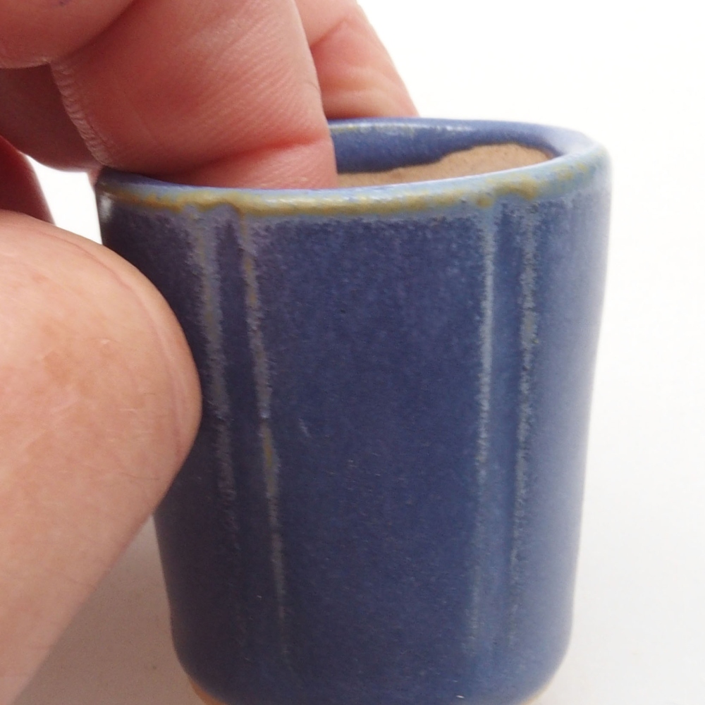 Mini bonsai 3,5 x 3,5 x 4 cm, colore blu
