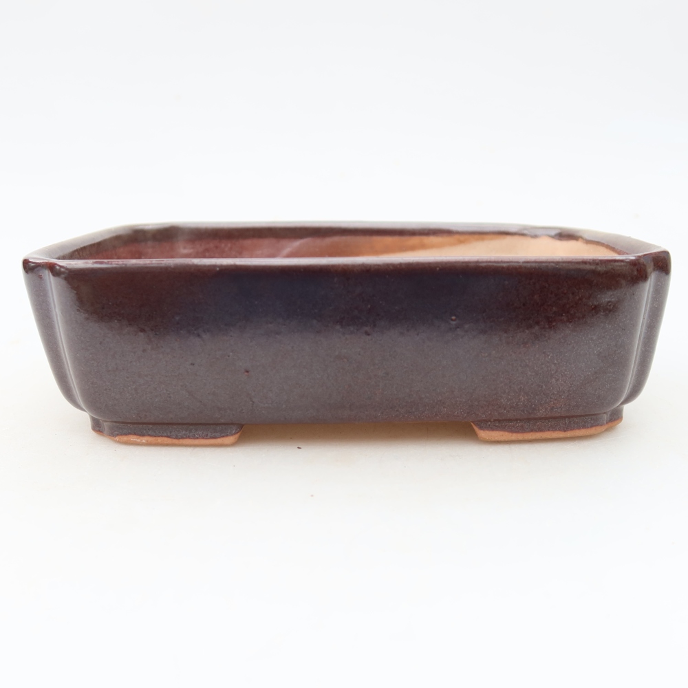 Ciotola per bonsai in ceramica 15 x 12,5 x 4,5 cm, marrone