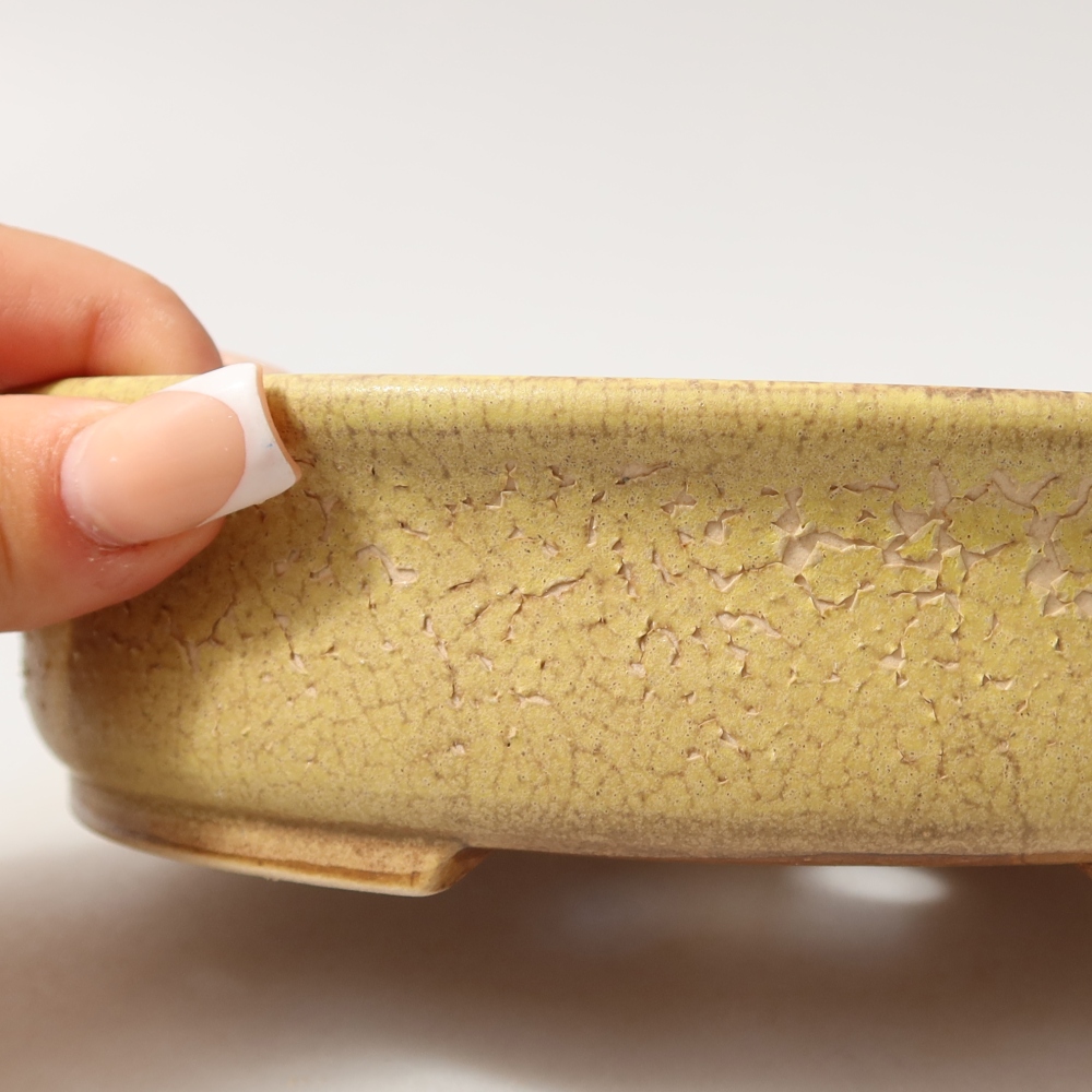 Vaso da bonsai in ceramica 18 x 16,5 x 4,5 cm, colore giallo