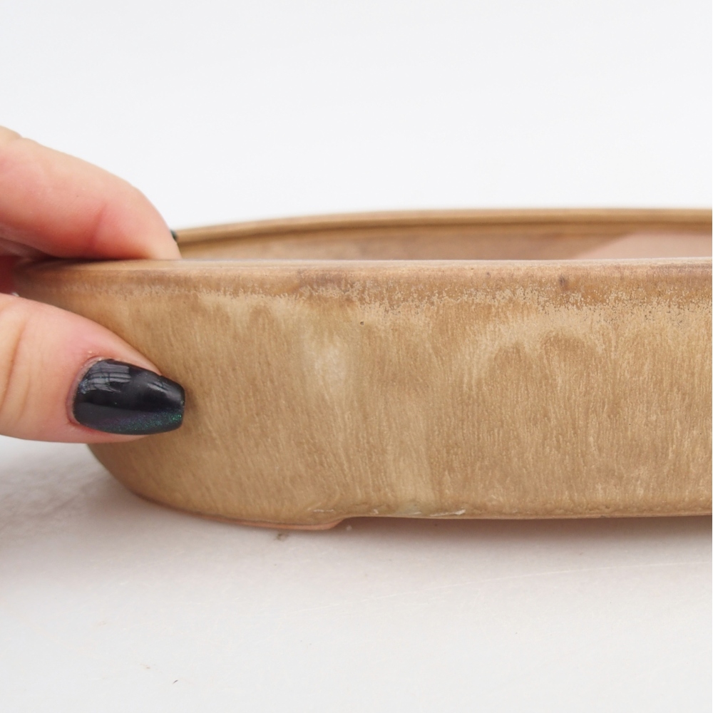 Ciotola per bonsai in ceramica 22,5 x 17 x 4,5 cm, colore beige