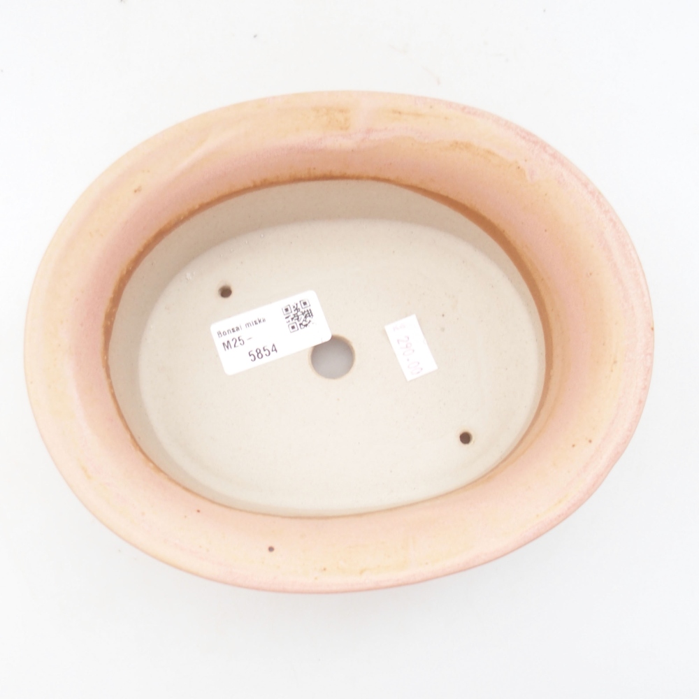 Ciotola bonsai in ceramica 22 x 17 x 5 cm, verde