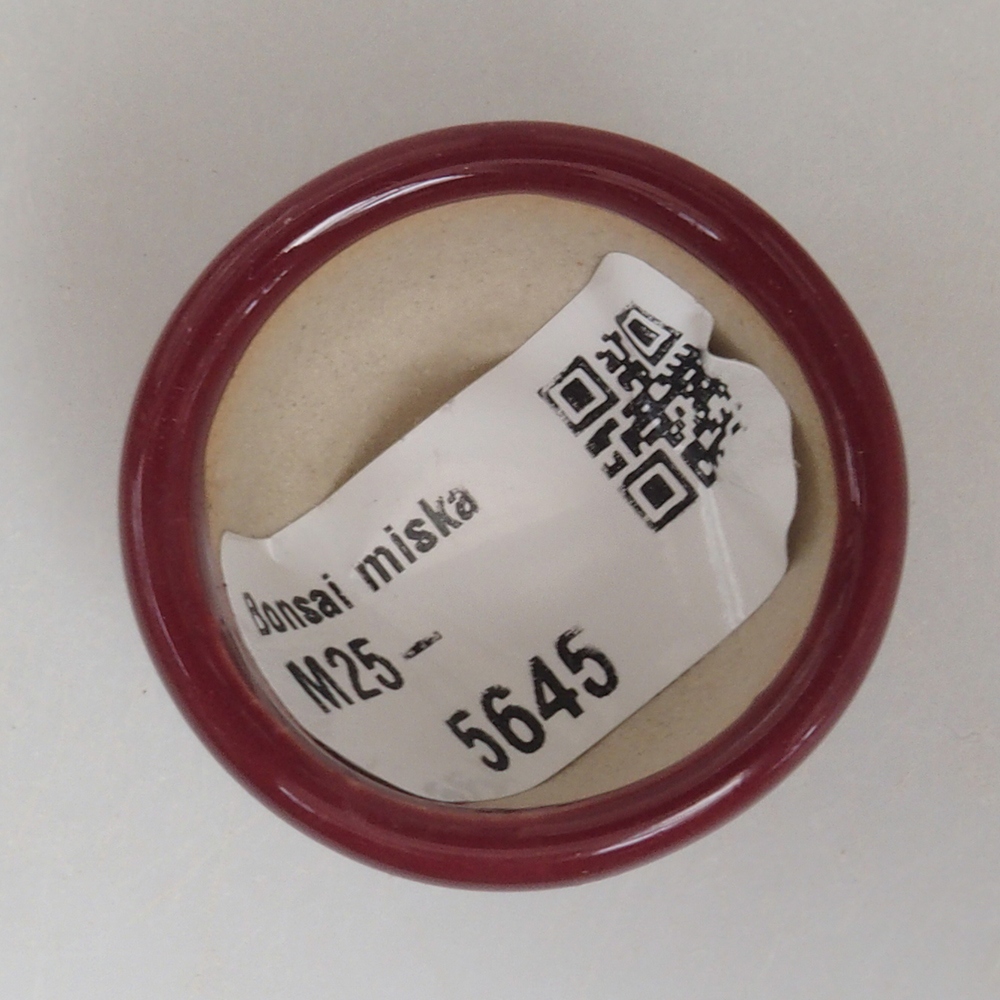 Mini bonsai 3,5 x 3,5 x 2 cm, bordeaux
