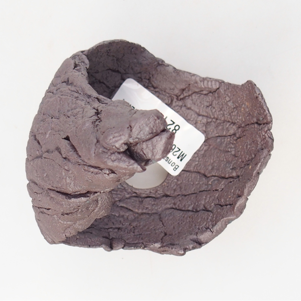 Conchiglia in ceramica 8 x 7,5 x 12 cm, colore metallizzato