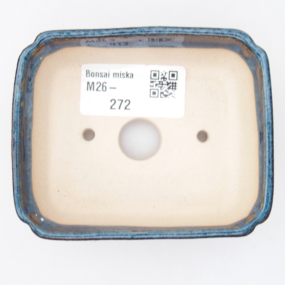 Ciotola mini bonsai 9 x 7 x 3 cm, blu