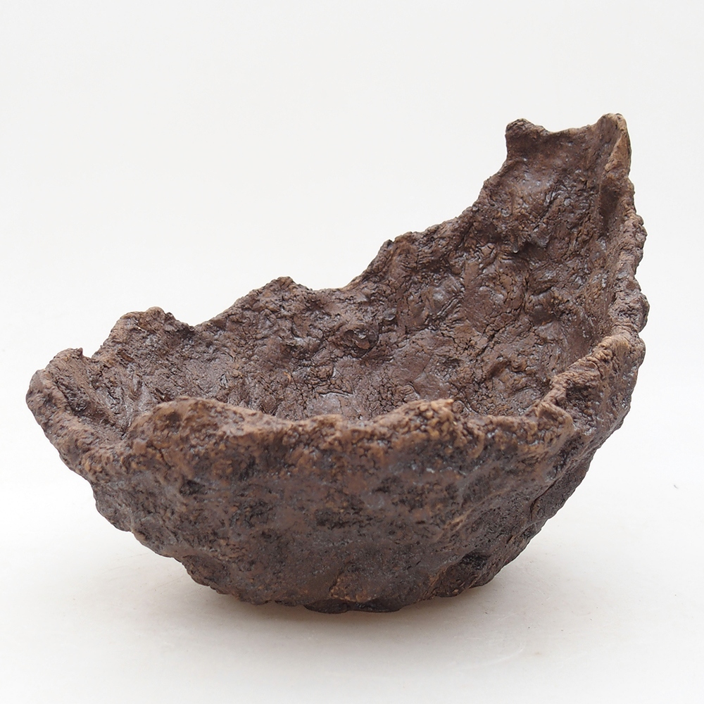 Conchiglia in ceramica 18 x 17,5 x 16 cm , colore marrone