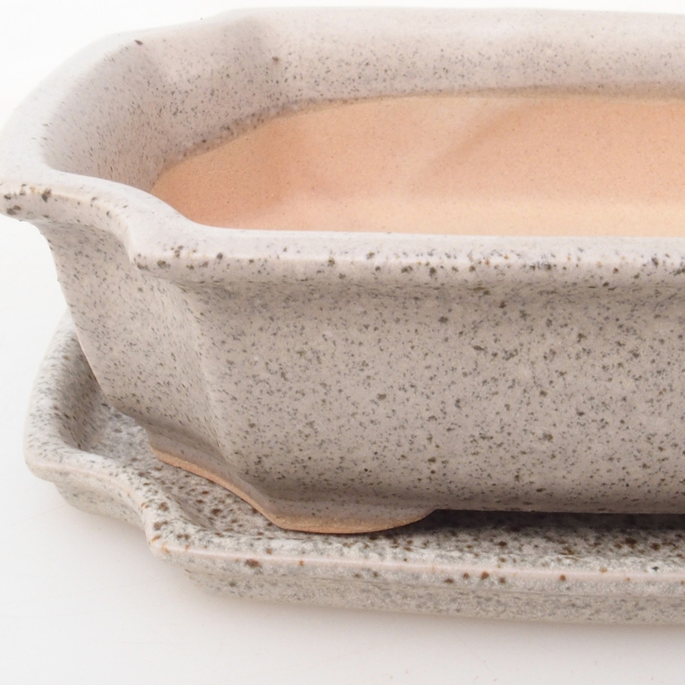 Ciotola bonsai + piattino H17 - 15 x 10 x 4 cm - beige