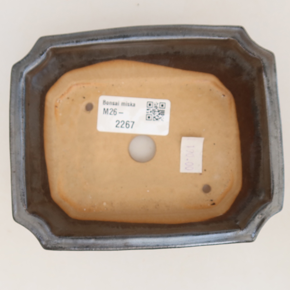 Vaso da bonsai in ceramica 13,5 x 11 x 4 cm, colore metallizzato