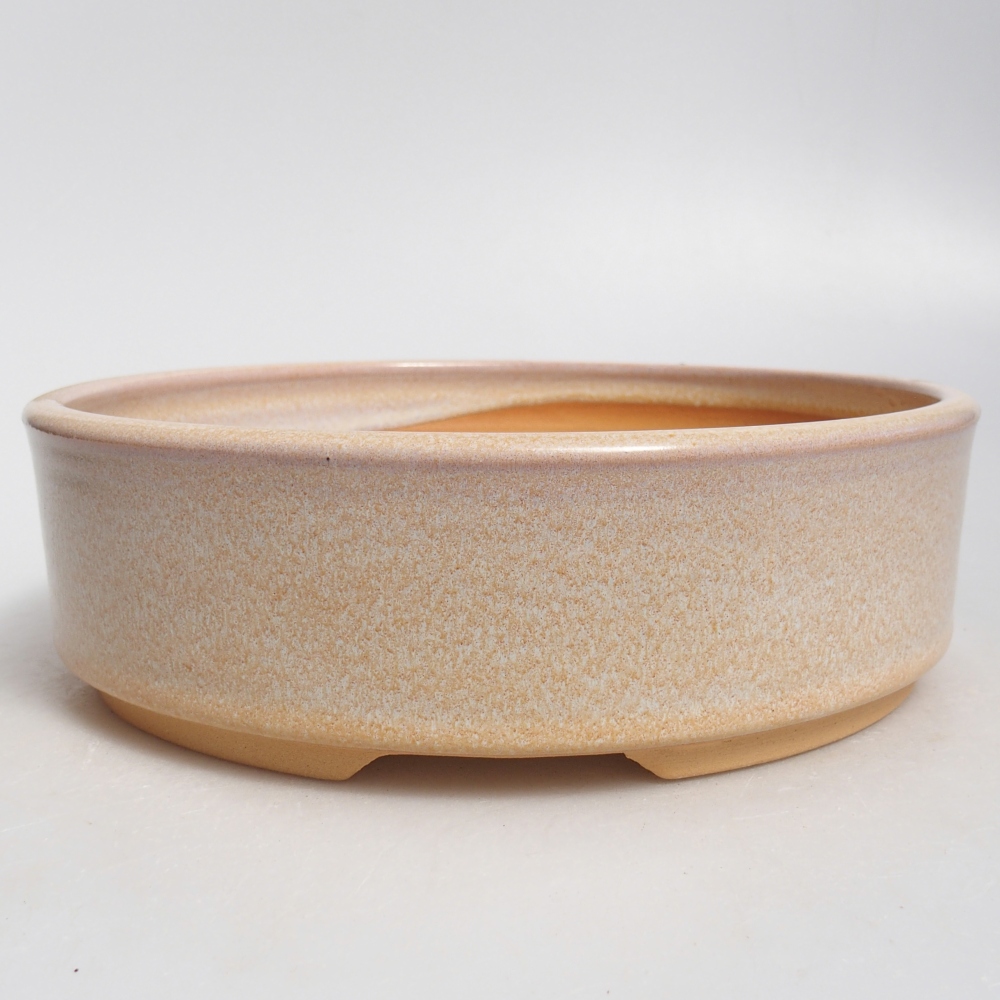 Ciotola per bonsai in ceramica 20,5 x 20,5 x 6 cm, colore beige