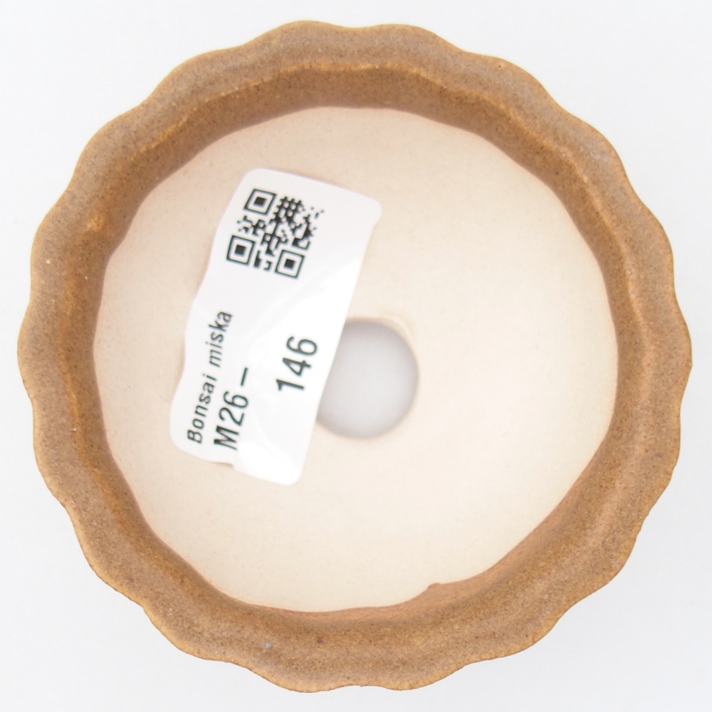 Mini bonsai 7,5 x 7,5 x 3,5 cm, marrone