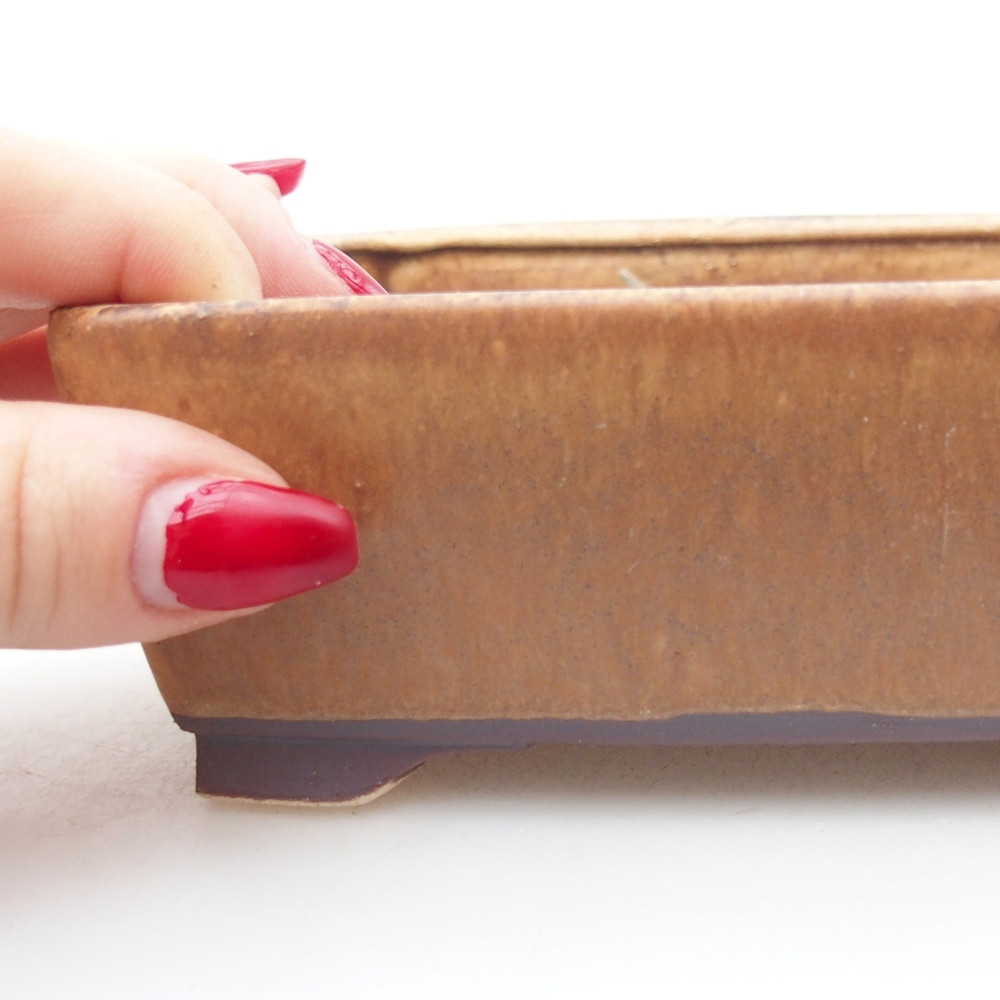 Ciotola per bonsai in ceramica 15 x 12 x 5 cm, marrone