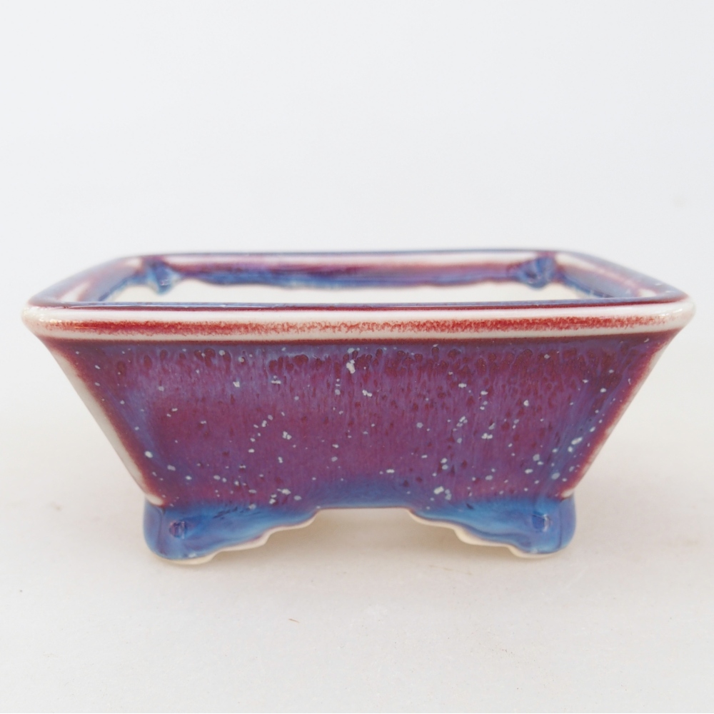 Mini bonsai 8,5 x 7,5 x 4 cm, colore viola