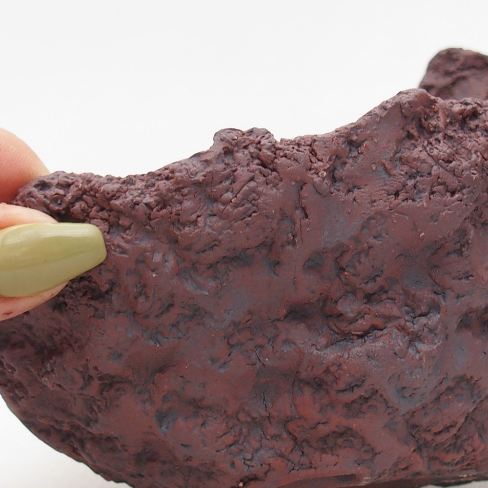 Conchiglia in ceramica 14 x 13 x 11,5 cm , colore marrone