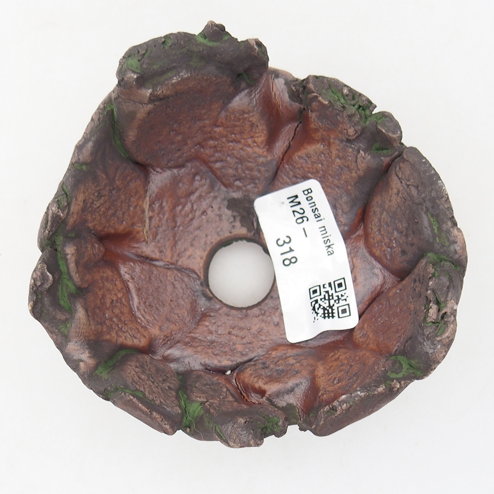 Conchiglia in ceramica 9,5 x 8,5 x 6 cm , colore verde