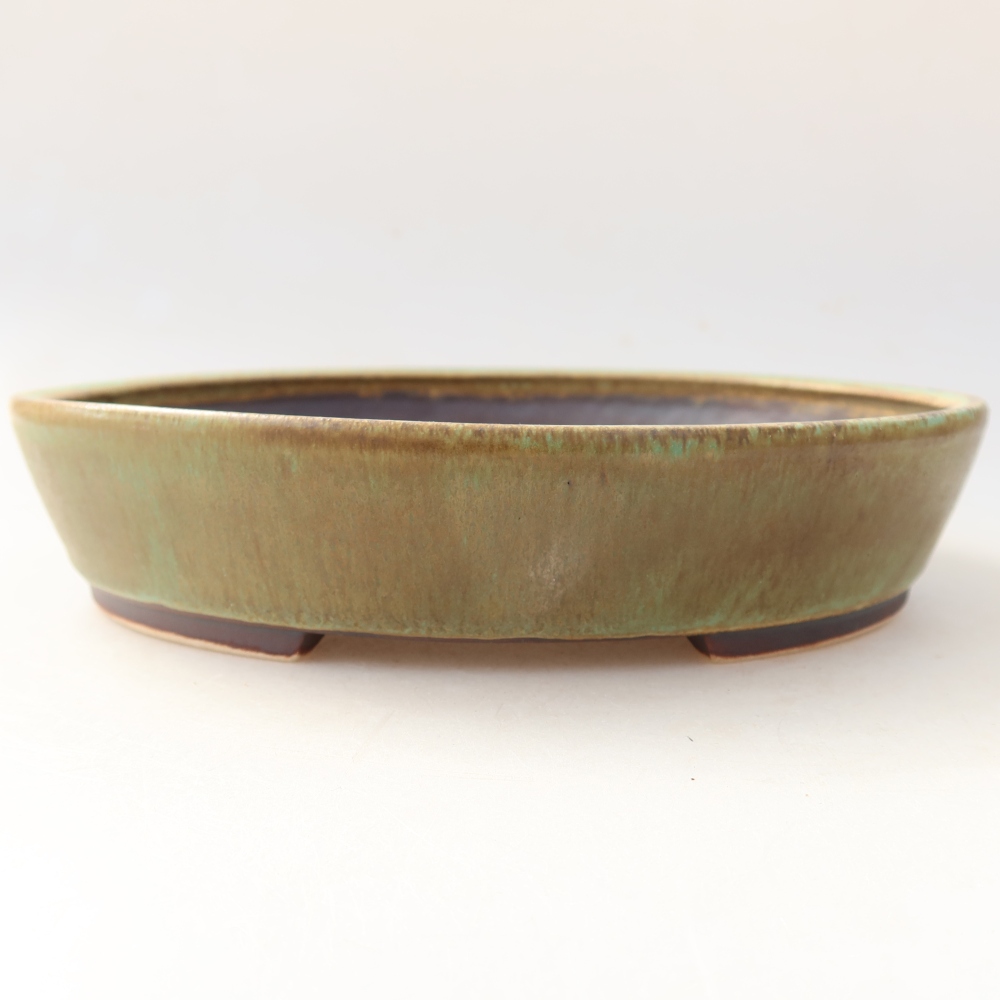 Ciotola bonsai in ceramica 21 x 19 x 4,5 cm, verde