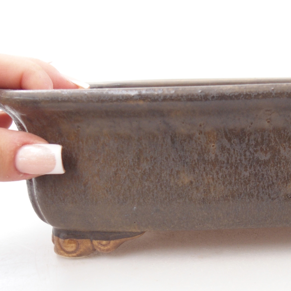 Ciotola per bonsai in ceramica 25 x 20 x 7 cm, marrone