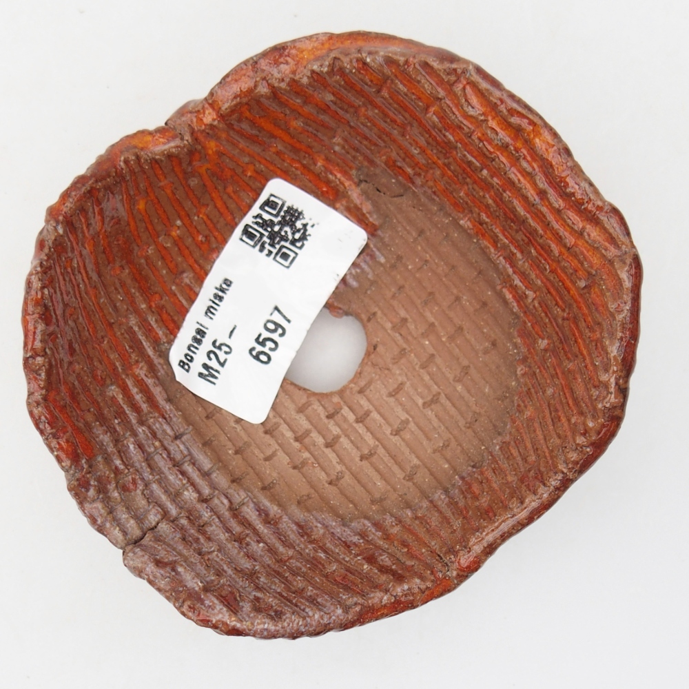 Conchiglia in ceramica 9 x 9 x 5 cm , colore arancione