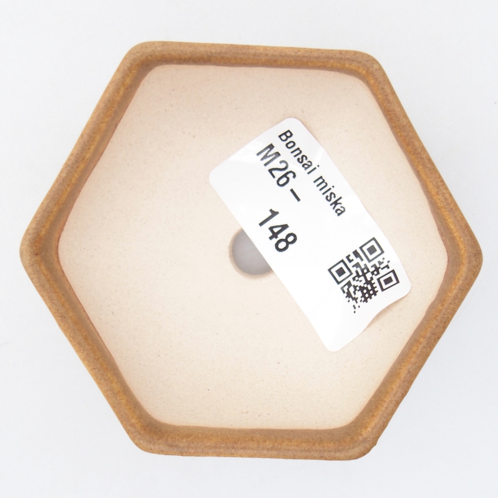 Ciotola per mini bonsai 7 x 6 x 3 cm, marrone