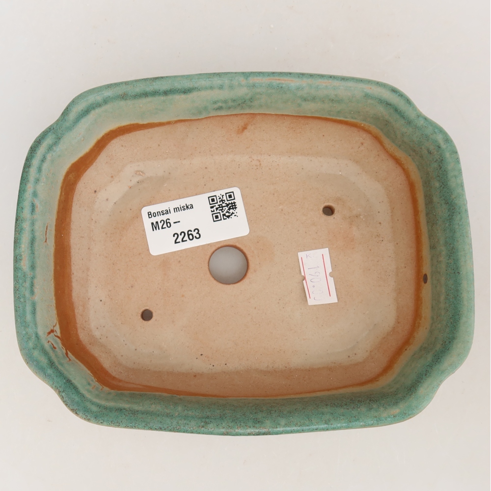 Ciotola per bonsai in ceramica 15,5 x 12 x 4,5 cm, verde