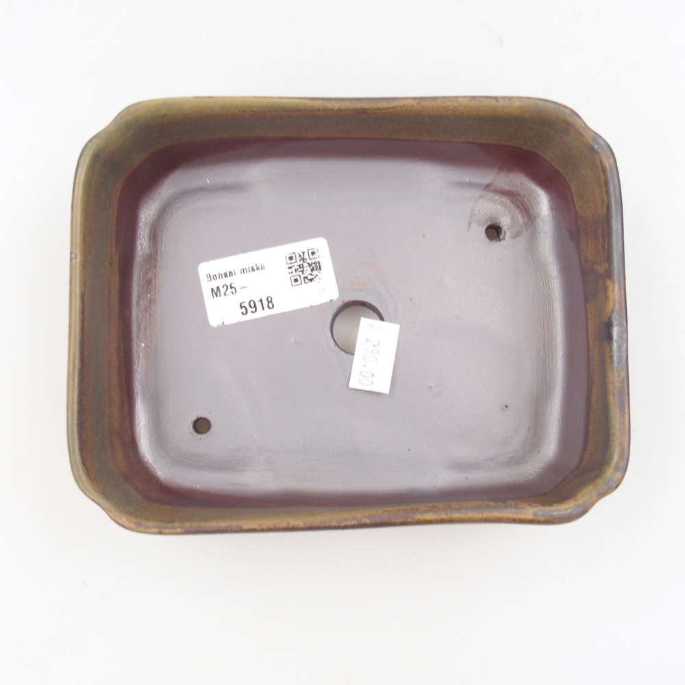 Ciotola bonsai in ceramica 22 x 17 x 5 cm, verde