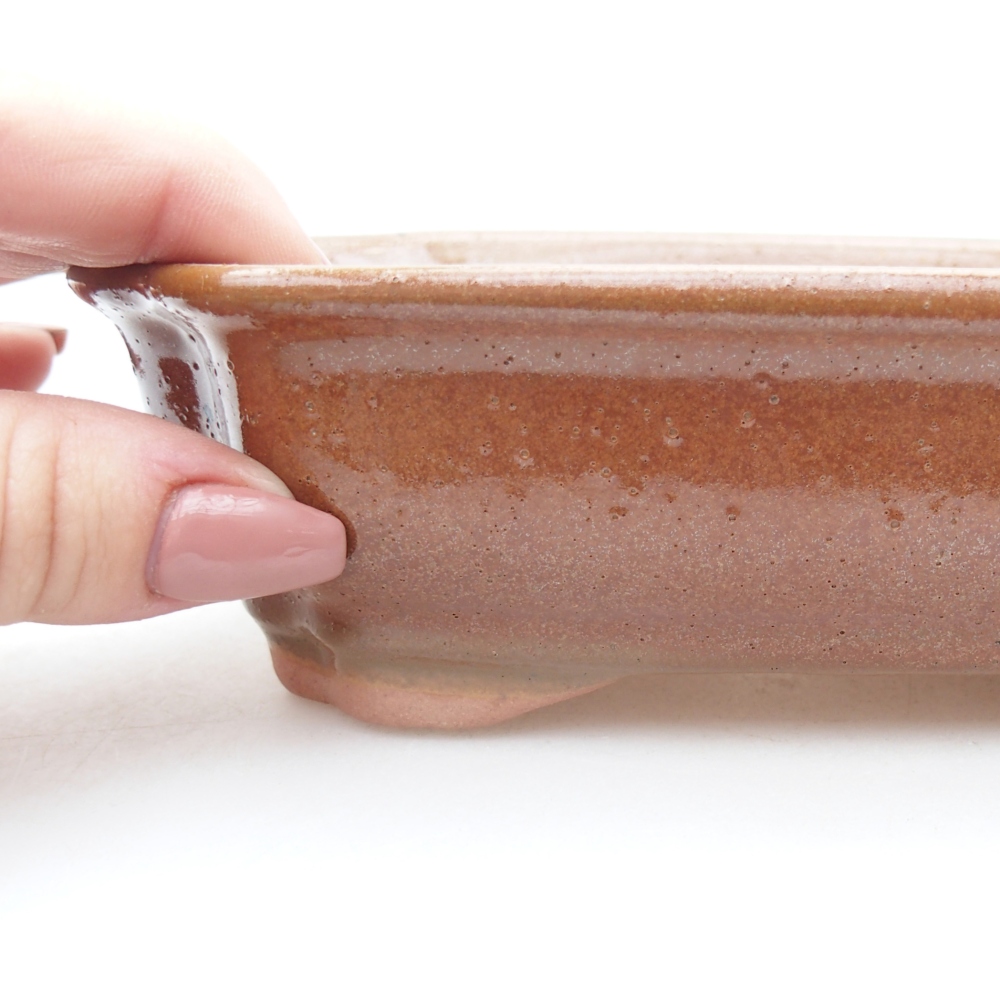 Ciotola per bonsai in ceramica 15,5 x 12 x 4,5 cm, marrone