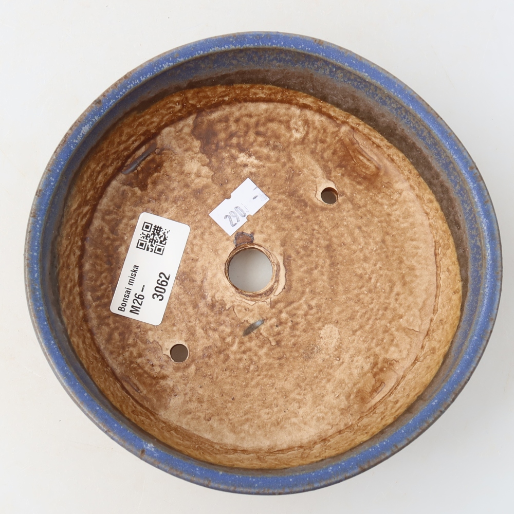 Vaso da bonsai in ceramica 15,5 x 15,5 x 5 cm, colore blu
