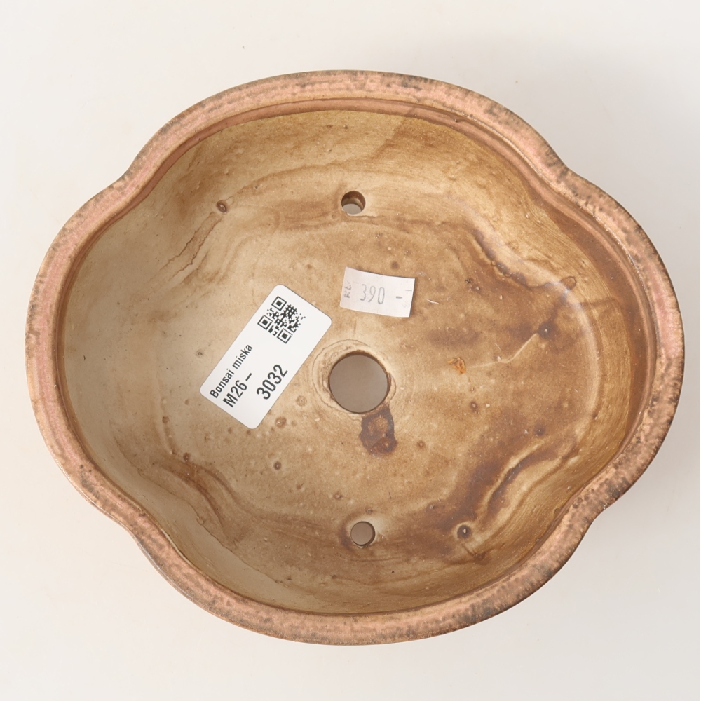 Ciotola bonsai in ceramica 17 x 15,5 x 5,5 cm, rosa