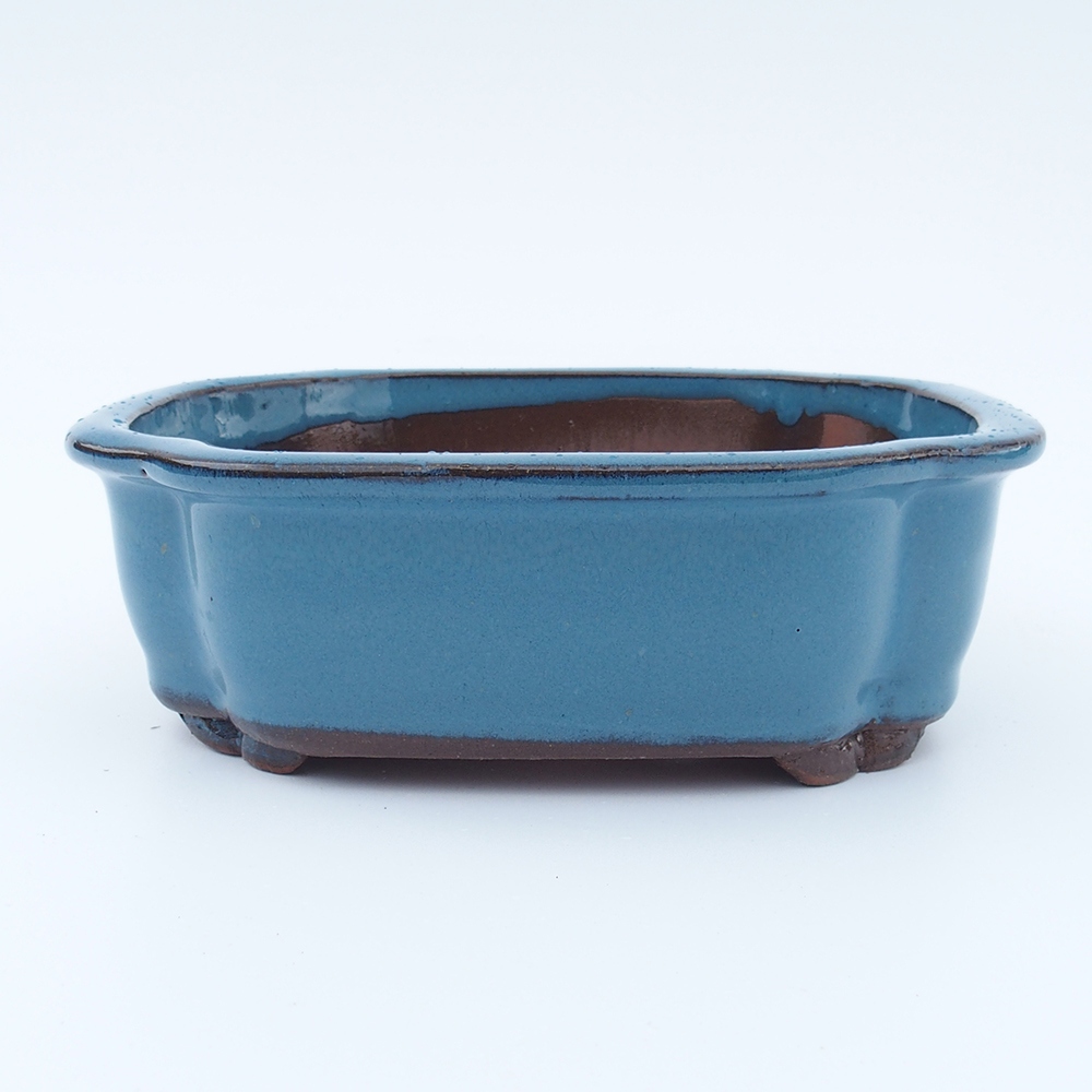 Ciotola 20 x 16 x 6,5 cm blu