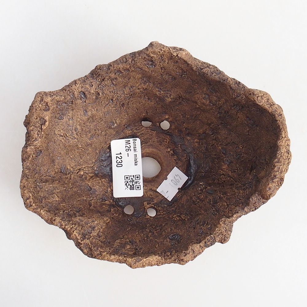 Conchiglia in ceramica 13,5 x 12 x 11,5 cm , colore marrone